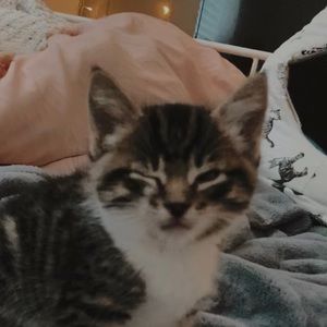 Meet your Posher, Lunaaa